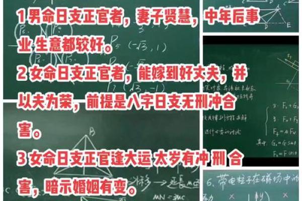 时支酉金与日支寅木的命理解析:平衡之美与性格契合 时支酉金与日支寅木的命理解析:平衡之美与性格契合