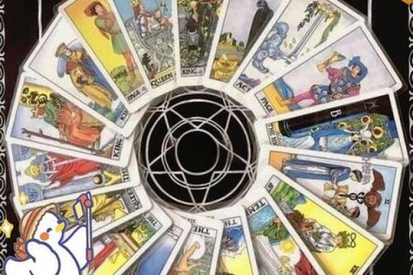 揭开命运的面纱：什么是从头到脚的命运？