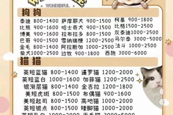 适合养猫狗的命格解析:你的命理与宠物选择的完美结合 适合养猫狗的命格解析:你的命理与宠物选择的完美结合