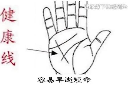 揭秘手掌三条线：从掌纹看命运与性格的奥秘
