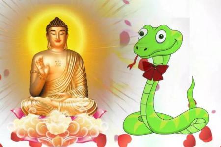 生死犹命，揭示生肖背后的深刻智慧与哲理