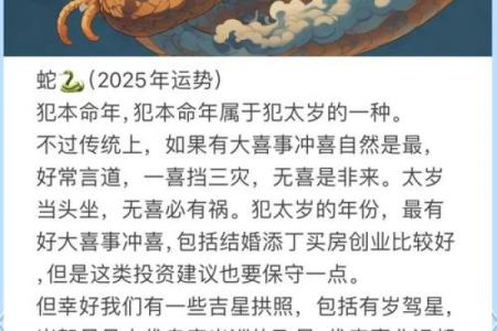 2024年蛇年运势解析：探寻蛇的命运与生活智慧