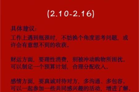 属猴女性的命理解析：灵动智慧与时尚生活的完美结合