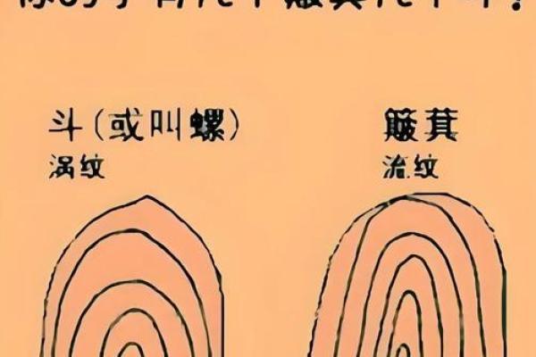 十个簸箕男性,命运之谜与人生启示 十个簸箕男性,命运之谜与人生启示