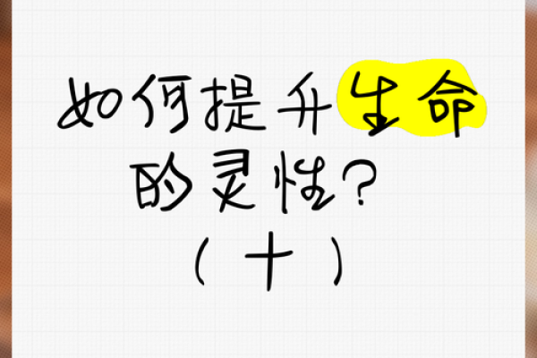 事前延命:如何通过生活习惯提升生命质量与延续时间 事前延命:如何通过生活习惯提升生命质量与延续时间