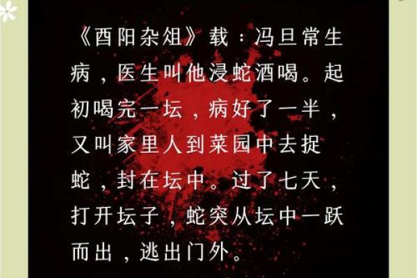 嗜酒如命:揭秘与酒精情缘的生肖之谜 嗜酒如命:揭秘与酒精情缘的生肖之谜