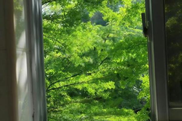 根据木命选择窗帘颜色，营造绿色生机的家居环境