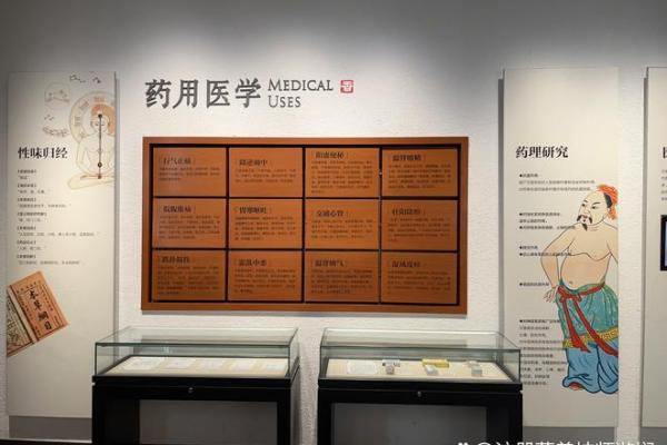 揭开十二功曹的神秘面纱:寻访古代历史与文化的瑰宝 揭开十二功曹的神秘面纱:寻访古代历史与文化的瑰宝