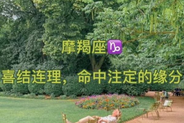 石榴木命与其他命理的完美结合:寻找你的命中注定伴侣 石榴木命与其他命理的完美结合:寻找你的命中注定伴侣