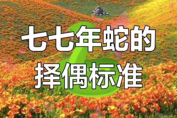 七七年属蛇女的命运解析:智慧与魅力并存 七七年属蛇女的命运解析:智慧与魅力并存