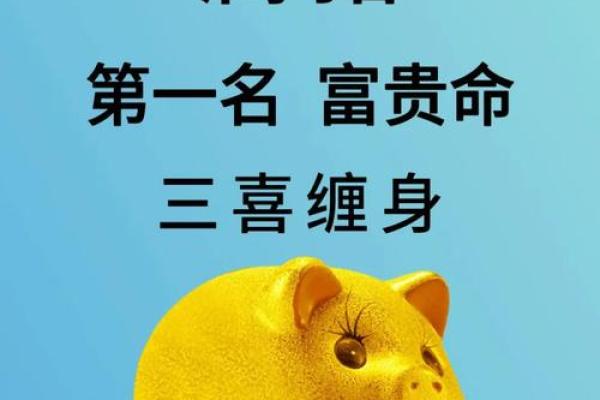 女83年属猪的命运解析与人生智慧