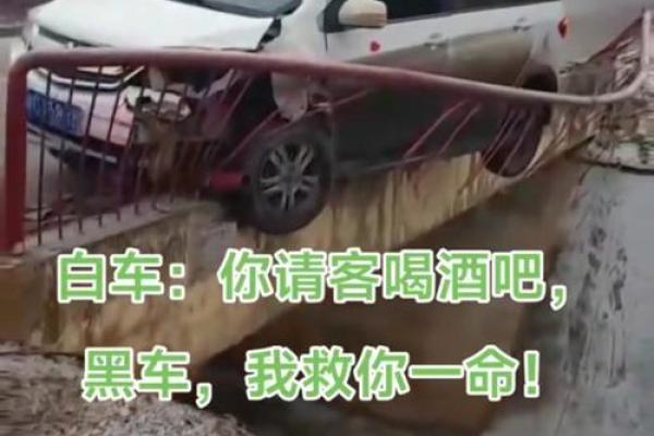 能救你命的七个技能，值得每个人掌握！