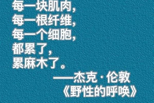 乞丐命运的转折：死后的下一段旅程与奇幻转世