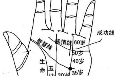 女人左手有女字纹，命运与个性的神秘密码解析