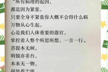 生命之外，更重要的是什么：探寻存在的真谛与价值