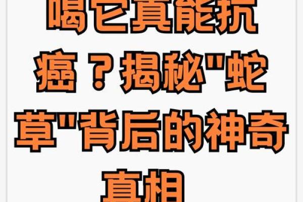 神秘草药:蛇过命草药的别名与疗效探秘 神秘草药:蛇过命草药的别名与疗效探秘