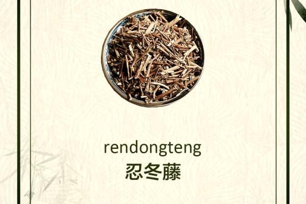 神秘草药:蛇过命草药的别名与疗效探秘 神秘草药:蛇过命草药的别名与疗效探秘