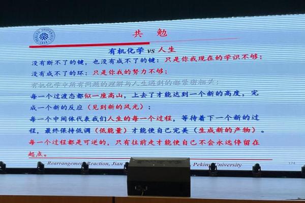 女人七个螺纹的命理解析与人生哲学