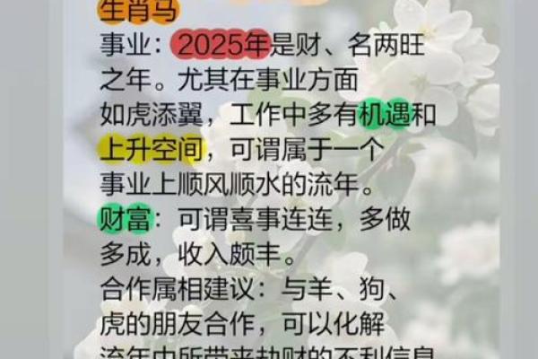属相马中,哪种马最富贵?揭开财富之谜! 属相马中,哪种马最富贵?揭开财富之谜!