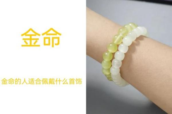 命与金命的结合：如何找到最佳的财运之道？