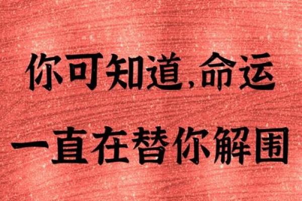 解密特殊命局，探寻人生逆转之路
