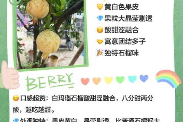 石榴木命的独特魅力与招牌颜色搭配指南 石榴木命的独特魅力与招牌颜色搭配指南