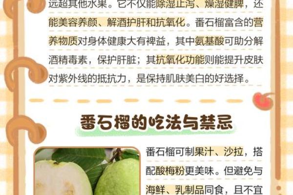 石榴木命的独特魅力与招牌颜色搭配指南 石榴木命的独特魅力与招牌颜色搭配指南