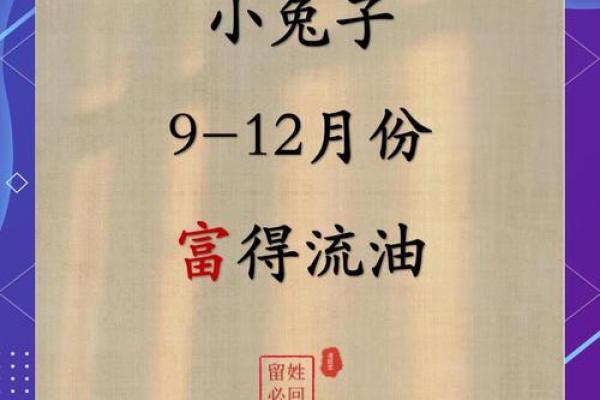 属兔人:63年生人的命理特征与人生启示 属兔人:63年生人的命理特征与人生启示