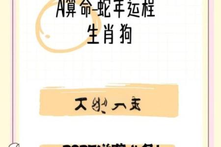 属狗命运解析：忠诚与机智的生活指南