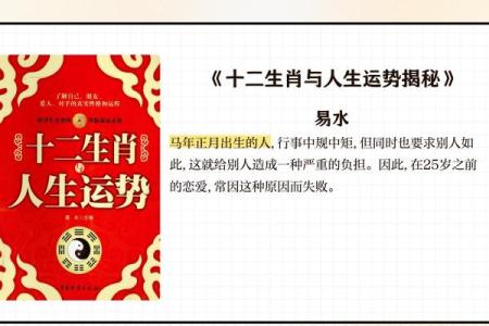 属马人的命运解析：烈如日，掌握自己的未来