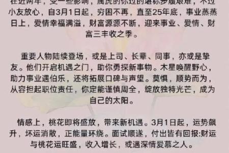 壬寅虎年出生的人命运解析：独特气质与人生机会的结合