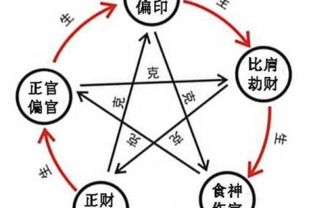 女命坤造十神解析：揭示命理之美与人生智慧