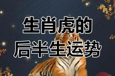 属虎人7月出生命运解析：运势与性格的完美结合
