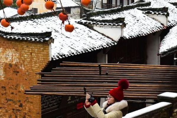 七三年属牛的木命人：命运与缺失的探寻之旅