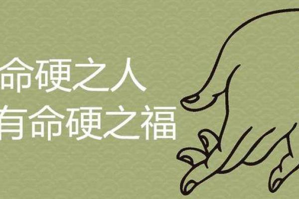 揭开浪子命的神秘面纱：八字如何揭示你的命运走向