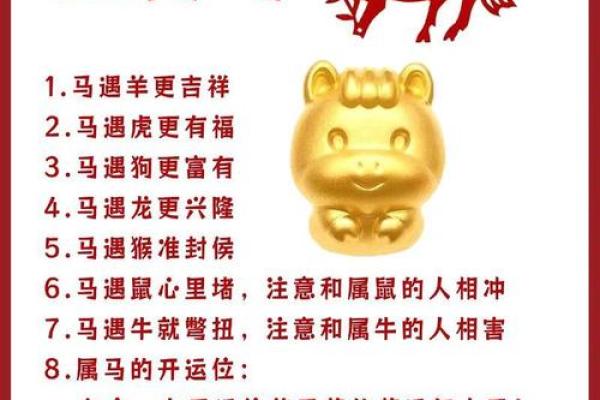 属马43岁的人生运势与命理解析：揭秘命运的秘密