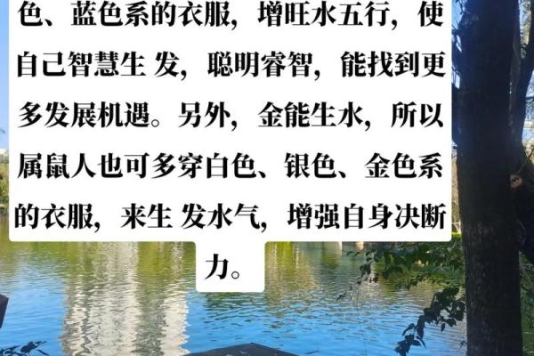 属鼠木命佩戴指南:开启幸运与魅力的钥匙 属鼠木命佩戴指南:开启幸运与魅力的钥匙