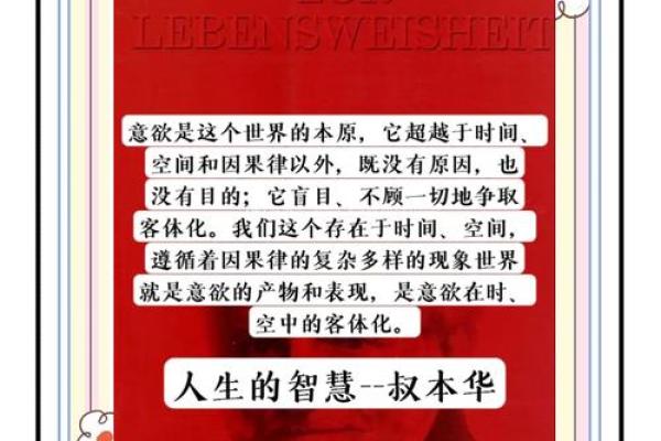 十一月出生的牛：命格解析与人生智慧
