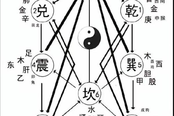 炉中火命的旺盛与五行之道解秘