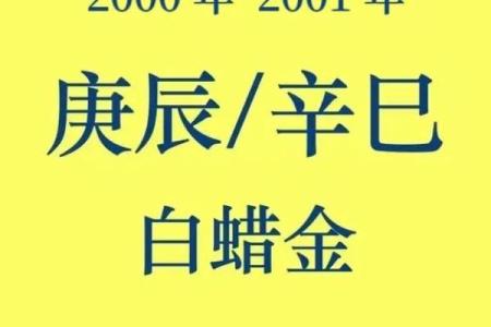 金命女：五行中的优雅与坚韧魅力探秘