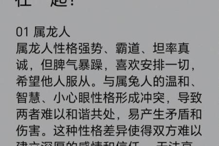 属兔的命运与性格探讨：如何把握人生的每一个机会