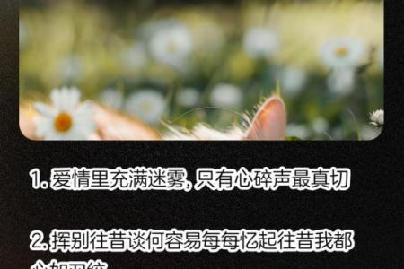 男友视我如命的背后，那些温暖与期待的秘密