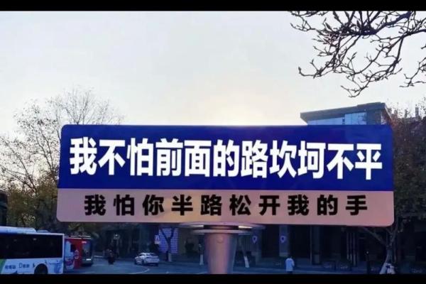 男人为什么总说爱你如命，背后隐藏的情感密码！