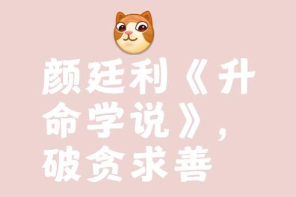 命里藏金:旺夫之道的智慧与魅力 命里藏金:旺夫之道的智慧与魅力
