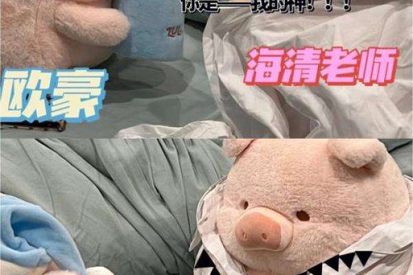 仅用300元，你的一个月精彩生活如何演绎？