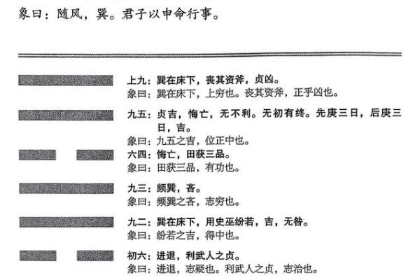 深入探讨巽命与东四命的奥秘与魅力 深入探讨巽命与东四命的奥秘与魅力