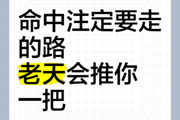人在命中注定与自我奋斗之间的哲思之旅 人在命中注定与自我奋斗之间的哲思之旅