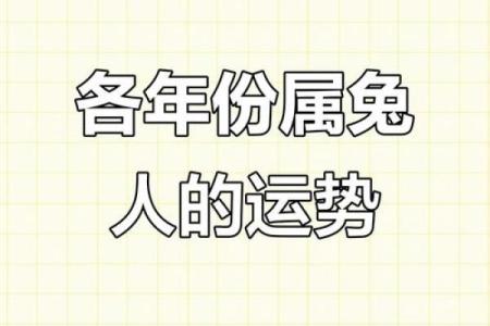 属兔正月13出生的命运解析：你的命中注定与众不同！