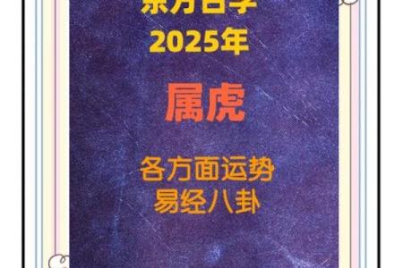 属虎17年注意事项：如何更好地规划运势与生活