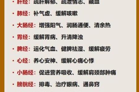 属虎女亥时出生，最适合的命运解析与人生指导